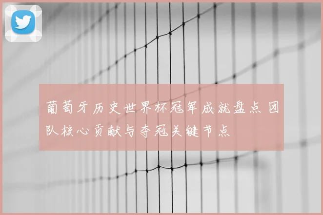 葡萄牙历史世界杯冠军成就盘点 团队核心贡献与夺冠关键节点