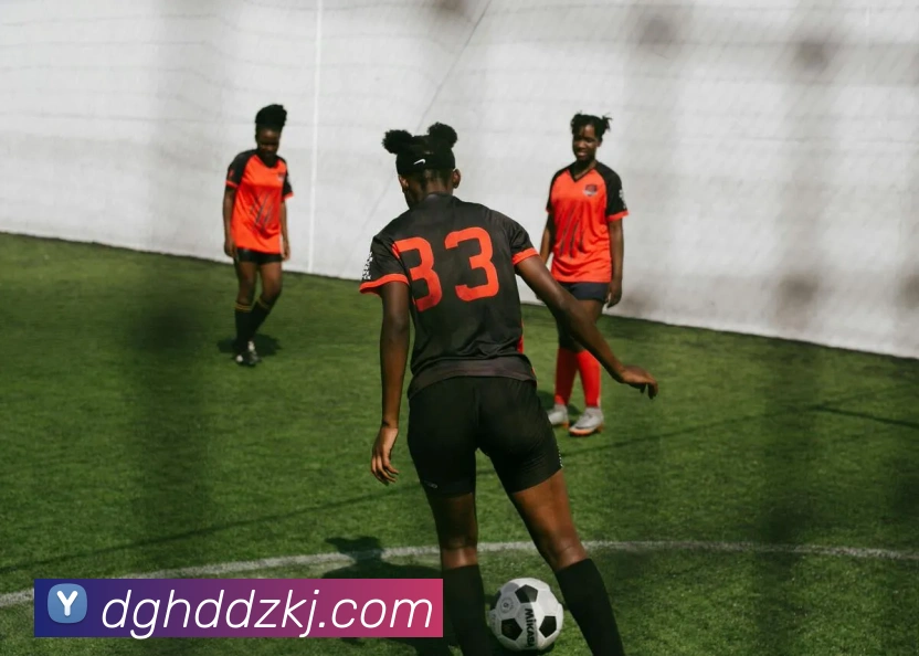 博雅app官网下载入口平台生态图