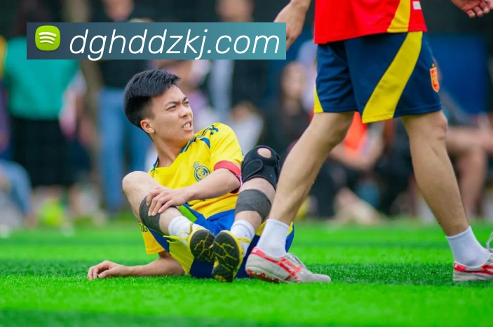 博雅app官网下载入口APP 封面图